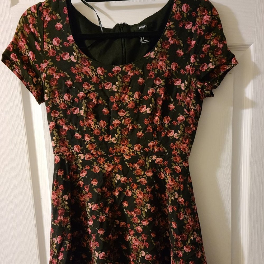 Rose print skater dress
